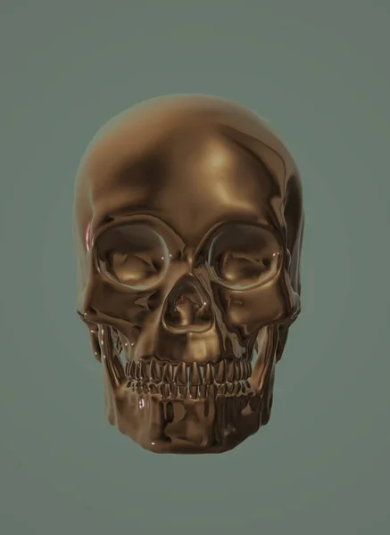 Human Skull Bones Skeleton Head — Fotografia de Stock