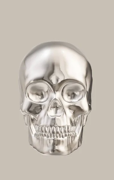 Bir kafatasının 3d görüntüsü