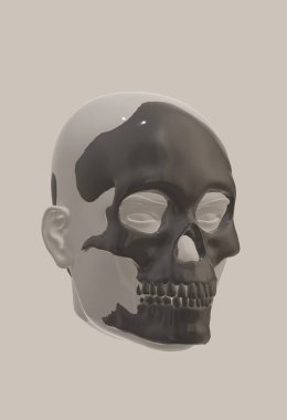 3d illustration of human skull, isolated on black background