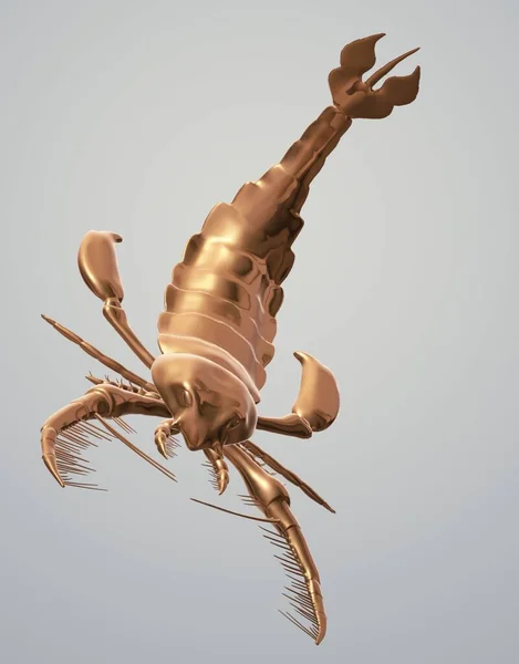 skeleton bones, illustration, vector on white background.