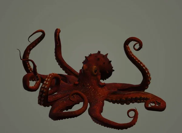 close up of a dragon on a red background.