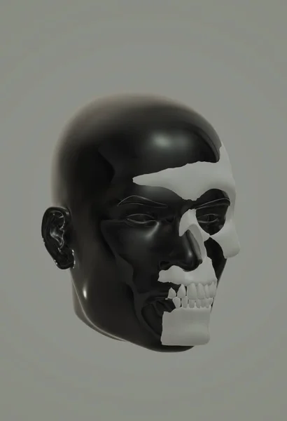 Human Skull Bones Render — Stok fotoğraf