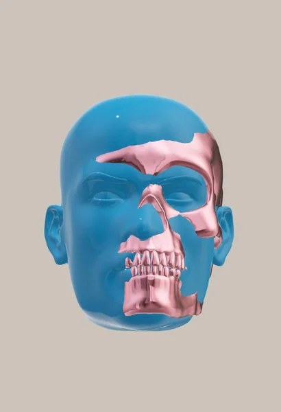 illustration of human anatomy, vector art