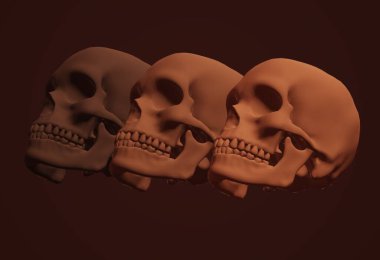 skull, 3d illustration, vector