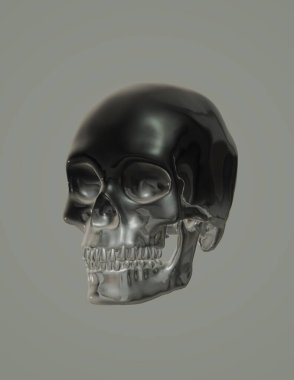 skull with a skeleton, isolated on white background