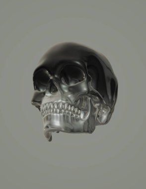 skull with a skeleton, 3d rendering