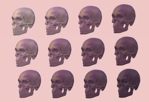 human skull with bones and skulls