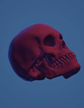 kafatası kırmızı ve beyaz arkaplan