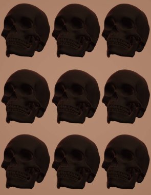 kemikleri ve çapraz kemikleri olan kafatası