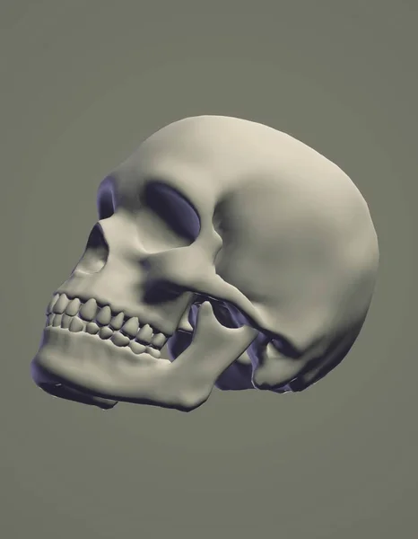 skull with a skeleton head, 3d render
