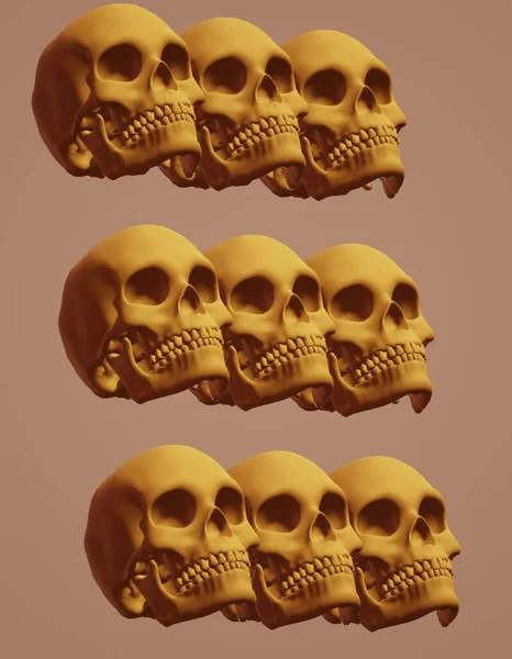 Kafatasları ve kemikleri olan kafatası. vektör illüstrasyonu