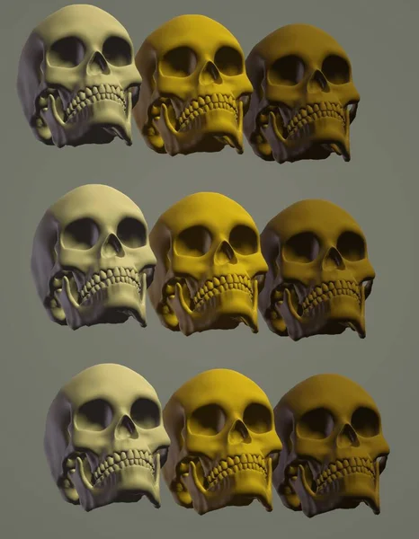 Cráneo Con Cráneos Huesos — Foto de Stock