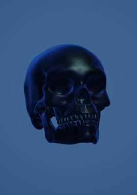 skull with a skeleton, 3d rendering