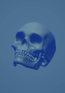 Mavi arka planda iskeleti olan bir kafatası