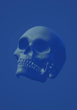 Mavi arka planda iskeleti olan bir kafatası