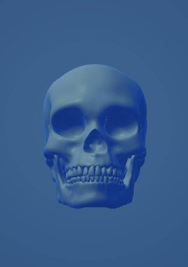 Beyaz arkaplanda iskeleti olan kafatası