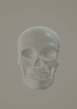 Beyaz arkaplanda iskeleti olan kafatası