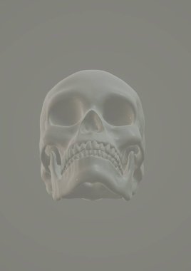 Beyaz arkaplanda iskeleti olan kafatası