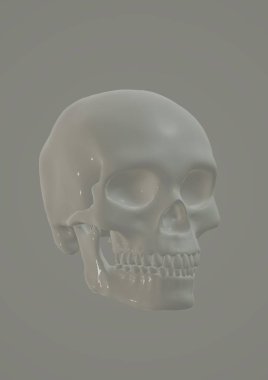 Beyaz arkaplanda iskeleti olan kafatası