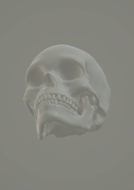 human skull with bones on a white background