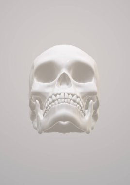 skull with a skeleton head, 3d rendering