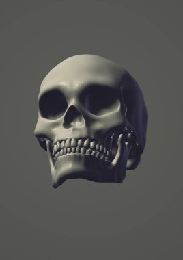 Beyaz arkaplanda iskeleti olan kafatası