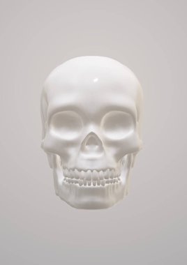 skull with a skeleton head, 3d render