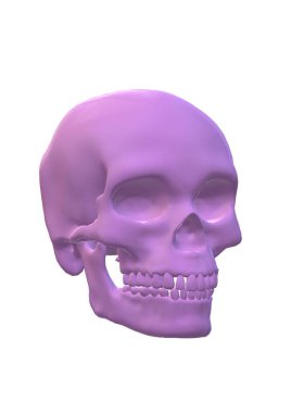 Beyaz arkaplanda iskeleti olan kafatası