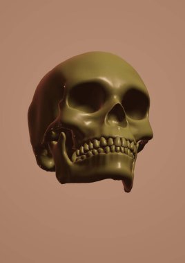 Beyaz arkaplanda iskeleti olan kafatası