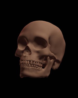 3d render of a skull with a black background