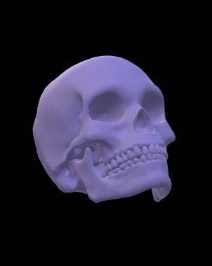 skull with a bone on a black background. 3d render illustration