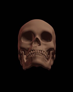3d render of a skull with a black background