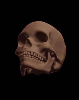 3d render of a skull with a black background