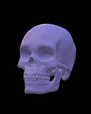 skull with a black pattern on a dark background. 3d illustration