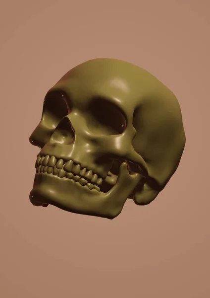 Beyaz arkaplanda iskeleti olan kafatası