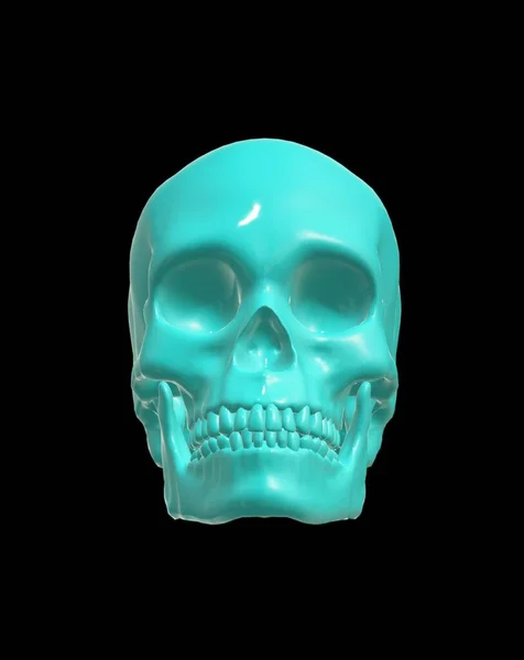 3d render of a skull with a bone