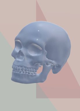 iskeletli kafatası, vektör çizimi