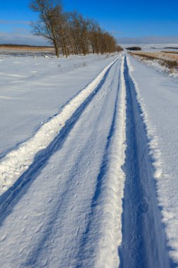 kırsal kış alan yolda