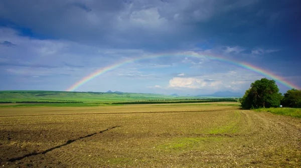 Regnbåge över fältet — Stockfoto