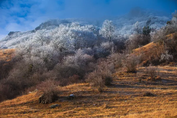 Montanha paisagem inverno — Fotografia de Stock