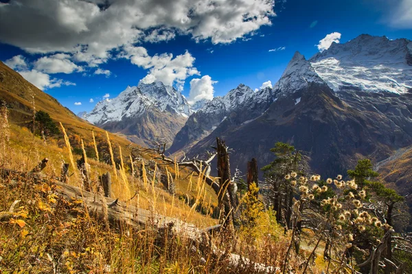 在山的美丽风景 — 图库照片