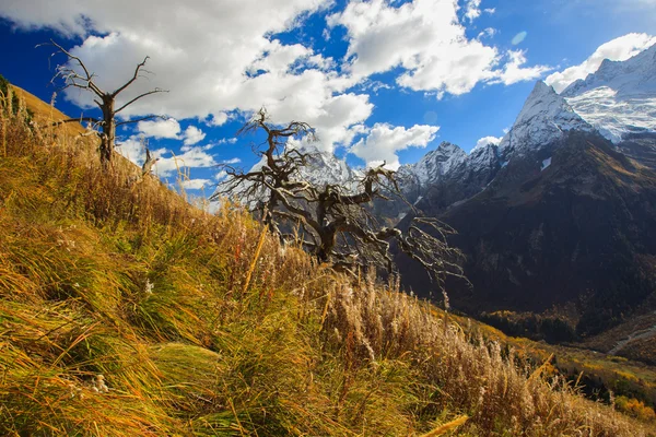 在山的美丽风景 — 图库照片