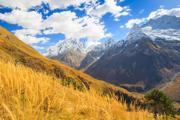 Vackert landskap på berg — Stockfoto