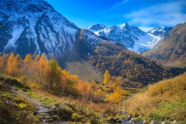 Montaña otoño paisaje — Foto de Stock