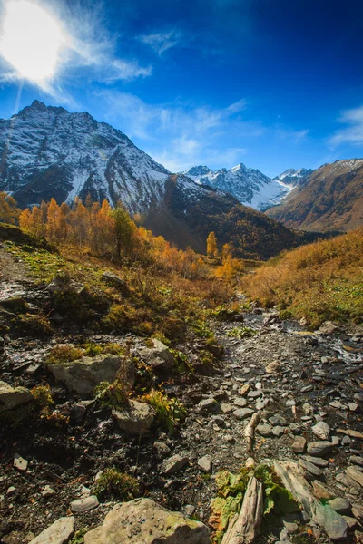 Montaña otoño paisaje — Foto de Stock