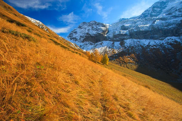 Höstlandskap i bergen — Stockfoto