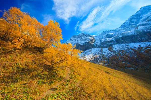 Mountain autumn landscape — Stock Photo, Image