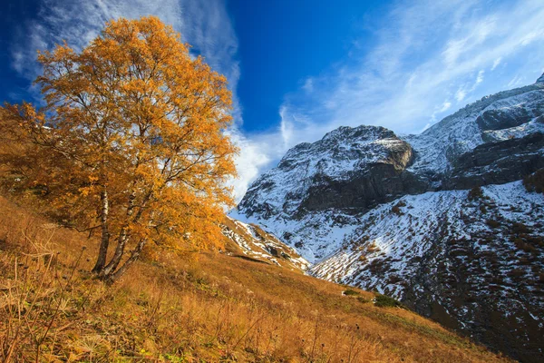 Herfst landschap in de bergen — Stockfoto