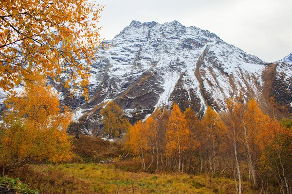 Paisaje de otoño en las montañas — Foto de Stock