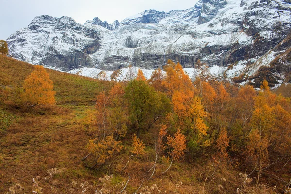 Herfst landschap in de bergen — Stockfoto